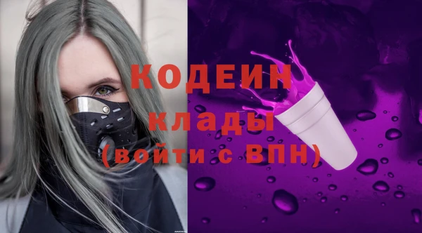 ГАЛЛЮЦИНОГЕННЫЕ ГРИБЫ Новозыбков