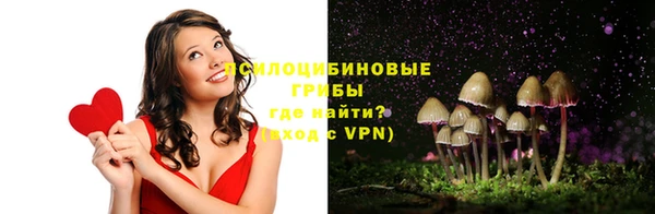 меф Новодвинск